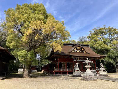 岡崎市神社仏閣