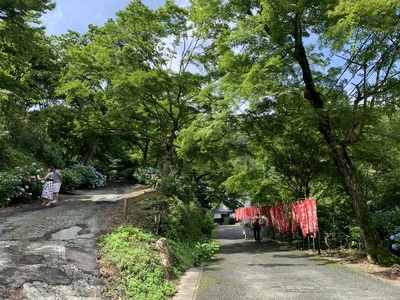 あじさいの『普門寺』