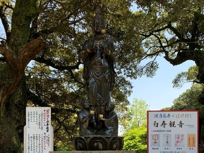 三ケ根山スカイライン