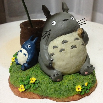 癒しのトトロ