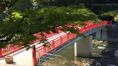 緑の香嵐渓
