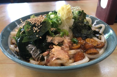 ヘルシースペシャルおろし