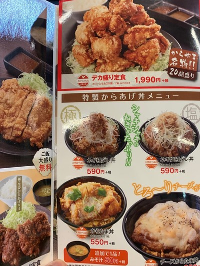 唐揚げ≪からやま≫
