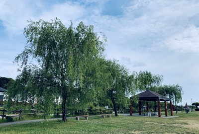 佐鳴湖公園