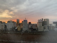 冬の朝焼け