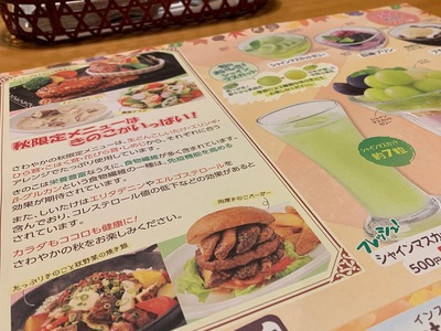 さわやかハンバーグ