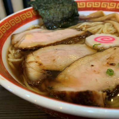 今年最初のライオン