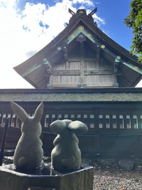 出雲大社詣で