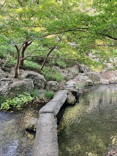 出世城『浜松城』