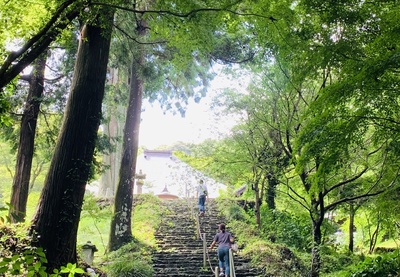 あじさいの『普門寺』