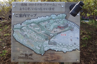 石垣山一夜城
