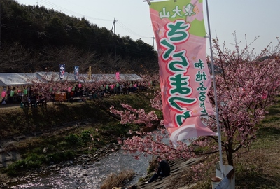 東大山さくらまつり