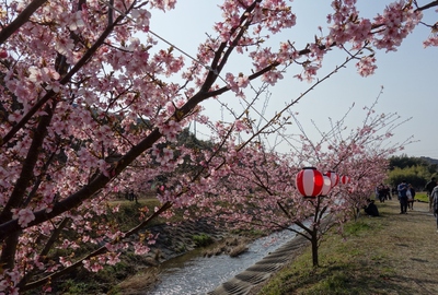 東大山さくらまつり