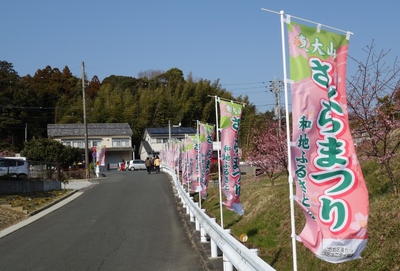 東大山さくらまつり