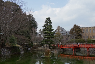 掛川城桜まつり