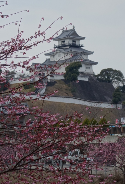 掛川城桜まつり