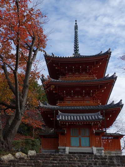 紅葉≪奥山方広寺≫