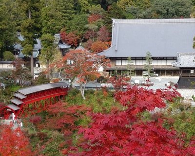 紅葉≪奥山方広寺≫