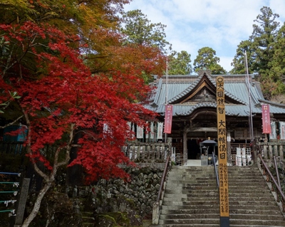 紅葉≪奥山方広寺≫