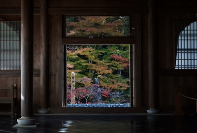 紅葉≪奥山方広寺≫