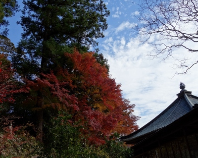 紅葉≪奥山方広寺≫