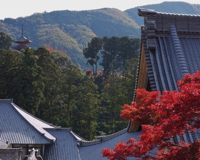 紅葉≪奥山方広寺≫