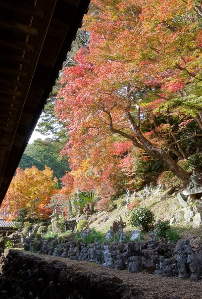 紅葉≪奥山方広寺≫