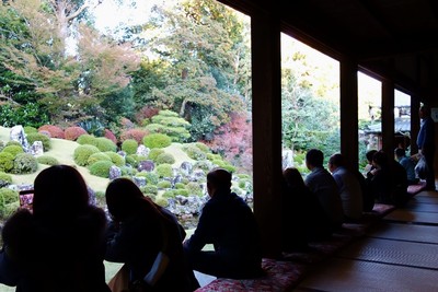 小堀遠州の紅葉
