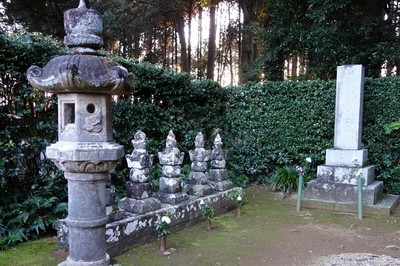 小堀遠州の紅葉