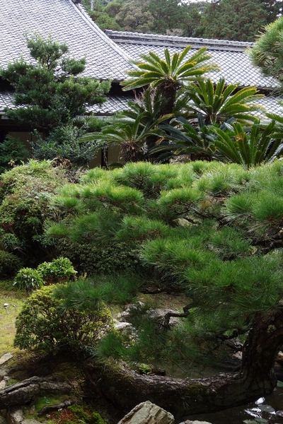 小堀遠州≪本興寺≫