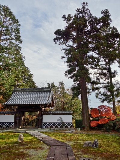 小堀遠州≪医王寺≫
