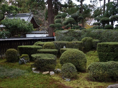 小堀遠州≪医王寺≫