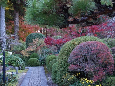 小堀遠州≪龍潭寺≫