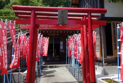 遠州再発見！！