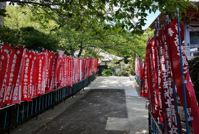 遠州再発見！！
