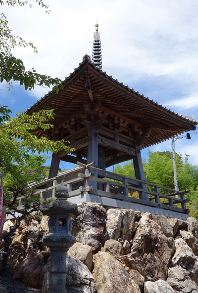 遠州再発見！！