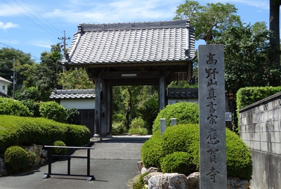 遠州再発見！！