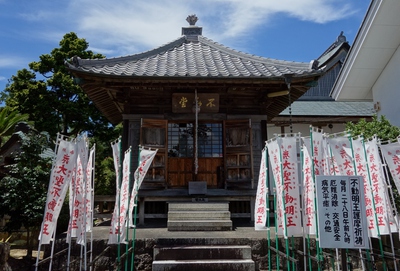 遠州再発見！！