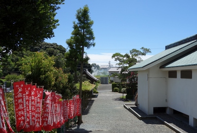 遠州再発見！！