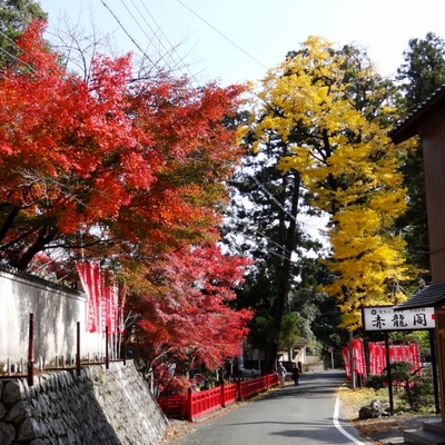 浜北森林公園