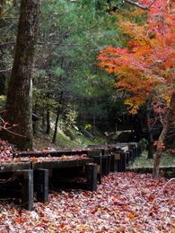 浜北森林公園