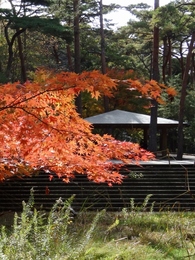 浜北森林公園