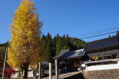 名もなき紅葉