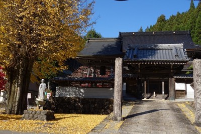 名もなき紅葉