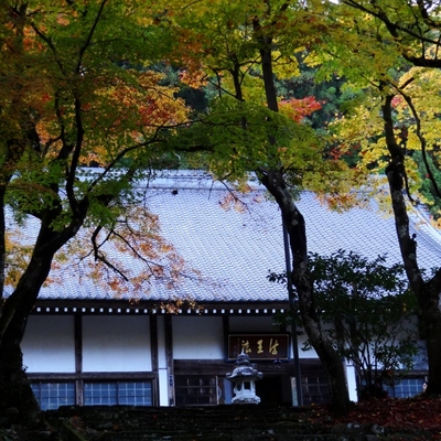大洞院紅葉