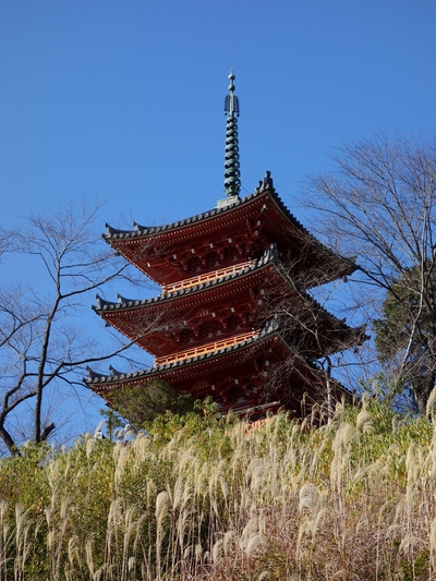 初詣。奥山方広寺