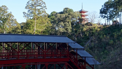 初詣。奥山方広寺