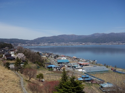 優雅なスターバックス
