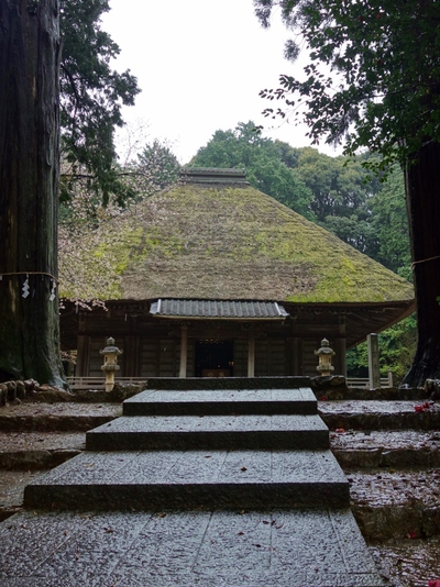 本興寺の桜