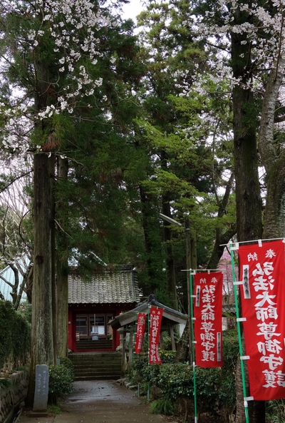 洞雲寺桜2017